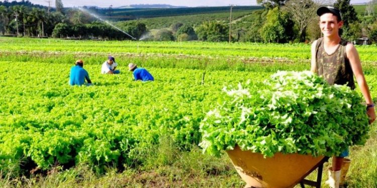 Fundação Renova oferece assistência técnica para produtores rurais em quatro municípios do norte capixaba