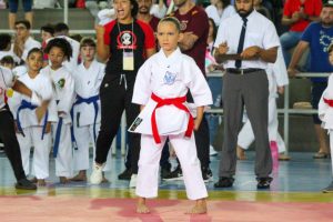 A competição reuniu mais de 400 atletas de artes marciais de várias cidades capixabas. Fotos: Kevyn Fracalossi.