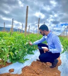 Uso de tecnologias contribui para redução de custos e eficiência do processo de produção no agronegócio