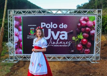 Festa da Uva de Linhares acontece neste fim de semana na Comunidade São Judas, em São Rafael