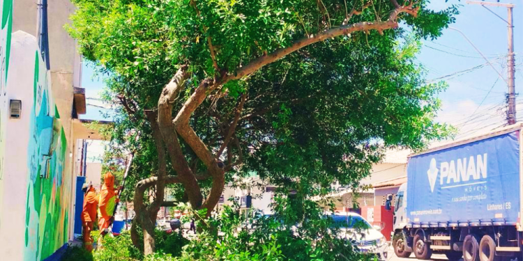 Escolas municipais passam por serviços limpeza e reparos para volta às aulas