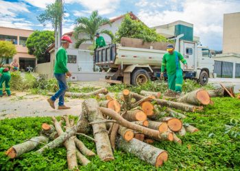 Secretaria de Obras e Serviços Urbanos realiza ações para minimizar efeitos das chuvas em Linhares