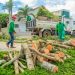 Secretaria de Obras e Serviços Urbanos realiza ações para minimizar efeitos das chuvas em Linhares