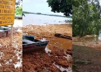 Material denso como uma “espuma” aparece no Rio do Doce