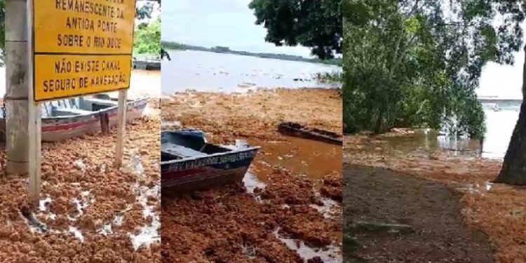 Material denso como uma “espuma” aparece no Rio do Doce