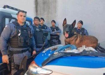 PM apreende quase meio quilo de crack e outras drogas em Linhares