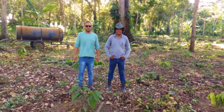 Agricultura inicia visitas em propriedades para a entrega de 55 mil mudas para revitalizar lavouras de cacau de Linhares