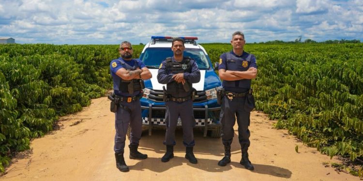 Operação Colheita: forças de segurança alinham estratégias para 2026 em Linhare